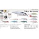 ARTIFICIALE RAPALA X-RAP SALTWATER 10CM 13GR COL. AYU - S - SB - SBM - REBA - FRSC - SBSC - GRM - HPU - RHU (COD. RAPSXR10)