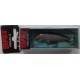 ESCA ARTIFICIALE RAPALA ORIGINAL FLOATER 5CM 3GR FLOATING COL. S - B - FT - ALB ( RAPF05 )