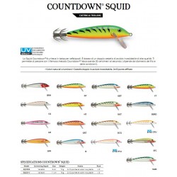 ESCA ARTICIALE RAPALA SQUID 11 CM